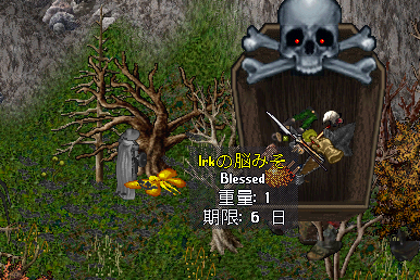 20190710-24.png