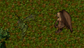 20250202-12.png