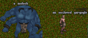 20250202-14.png
