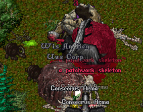 20250202-16.png