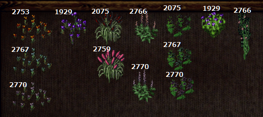20250202-20.png