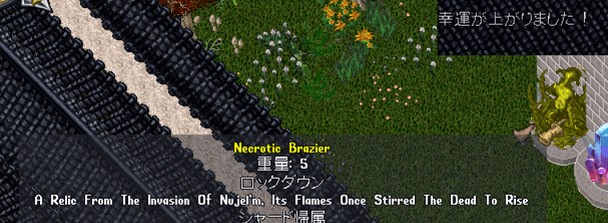 20250202-25.png