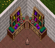 20250202-5.png