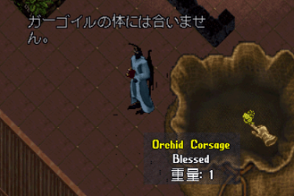 20250611-14.png