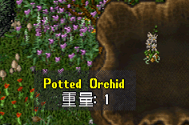 20250611-16.png