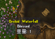 20250611-17.png