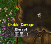 20250611-8.png